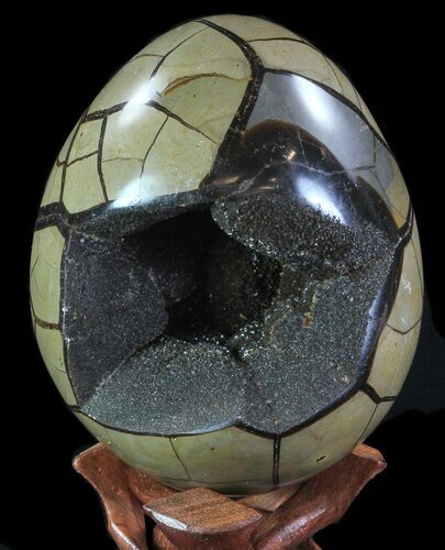 Septarian Dragon Egg Geode - Black Crystals #68111
